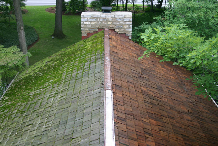 Roof cleaning and Roof Moss removal Surrey BC